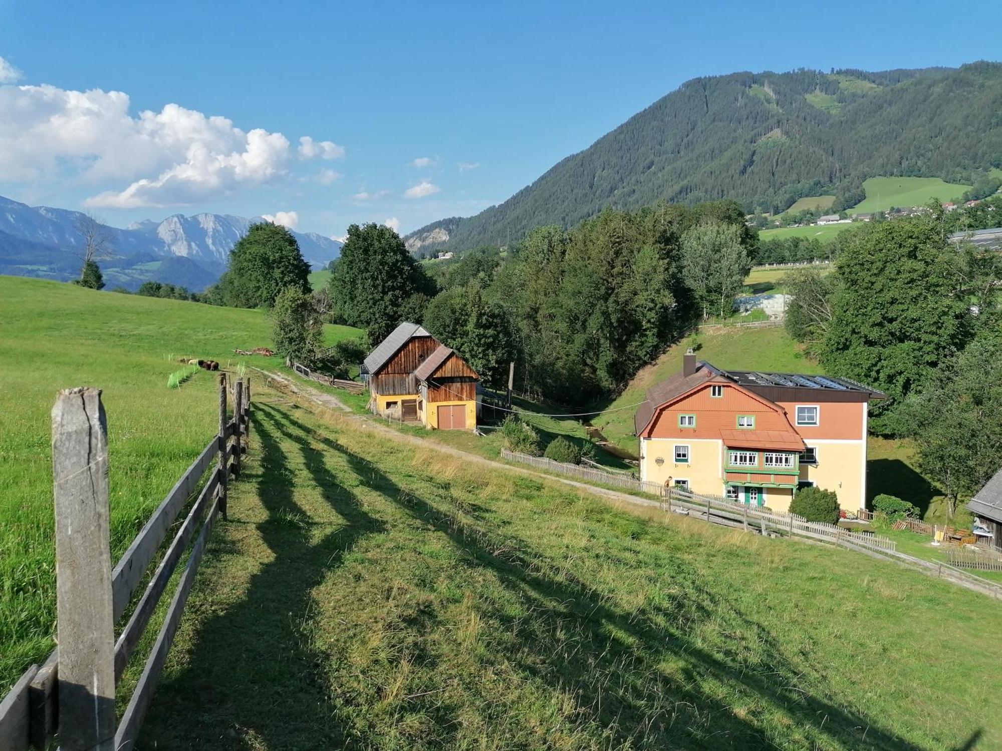 Ferienwohnung Weppermuehle Niederdorf  Экстерьер фото